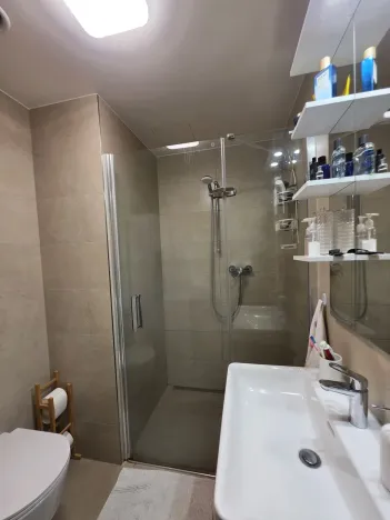 Pronájem bytu 2+kk, Plzeň, Pallova, 46 m2