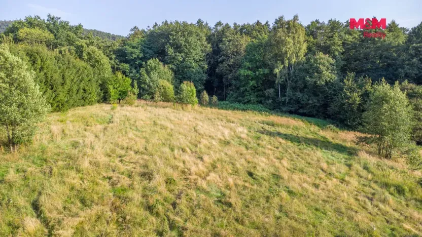 Prodej louky, Nový Bor - Janov, 5500 m2