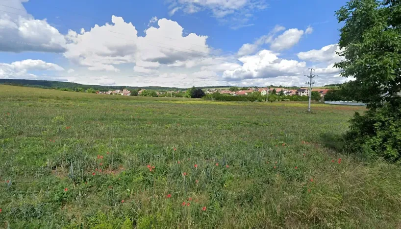 Prodej pole, Prštice, 1178 m2