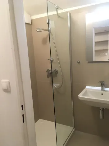 Pronájem bytu 1+1, Praha - Karlín, Březinova, 41 m2