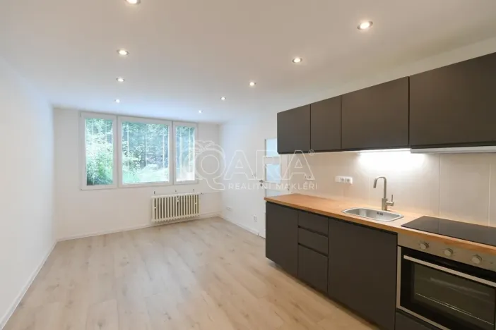 Prodej bytu 2+kk, Praha - Krč, Hurbanova, 39 m2