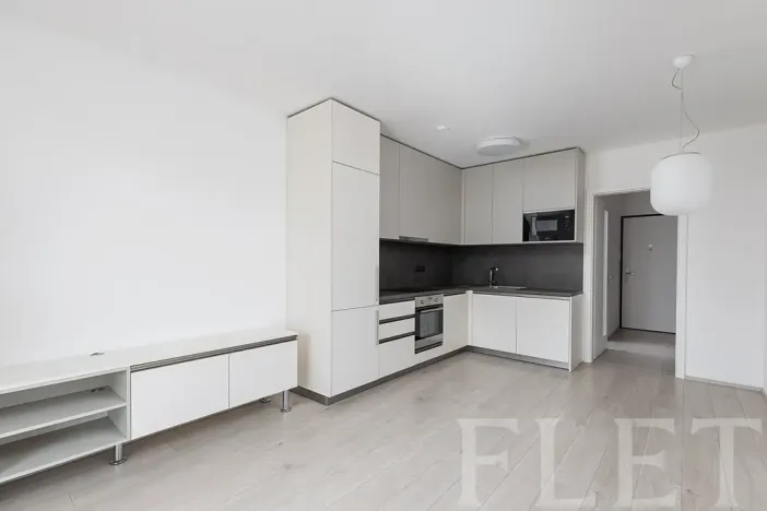 Pronájem bytu 2+kk, Praha - Žižkov, Hartigova, 47 m2