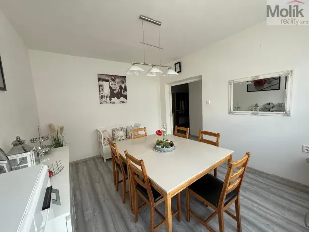 Prodej bytu 3+1, Bílina - Teplické Předměstí, M. Švabinského, 72 m2