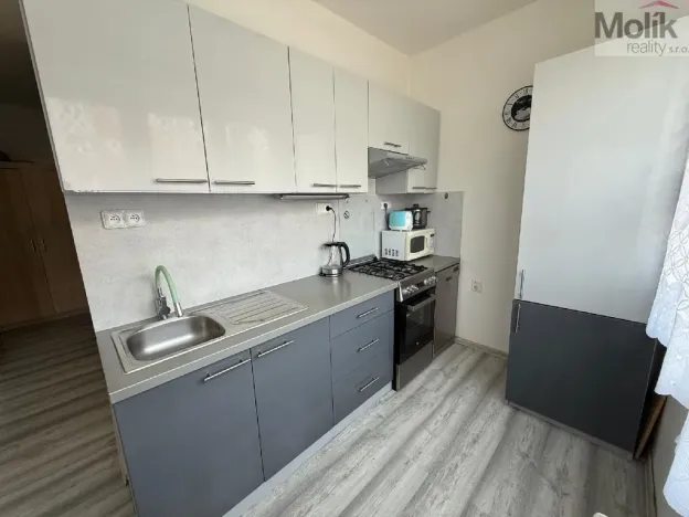Prodej bytu 3+1, Bílina - Teplické Předměstí, M. Švabinského, 72 m2