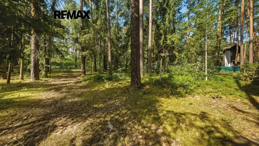 Pronájem chaty, Doksy, Dalibora z Myšlína, 40 m2