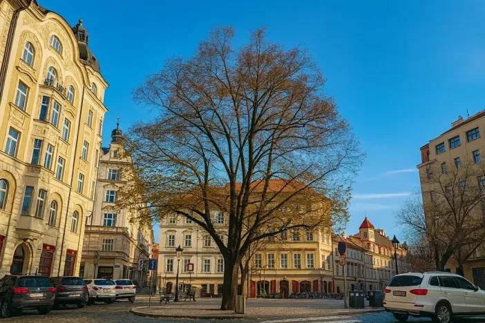 Prodej bytu 2+kk, Praha - Staré Město, 44 m2