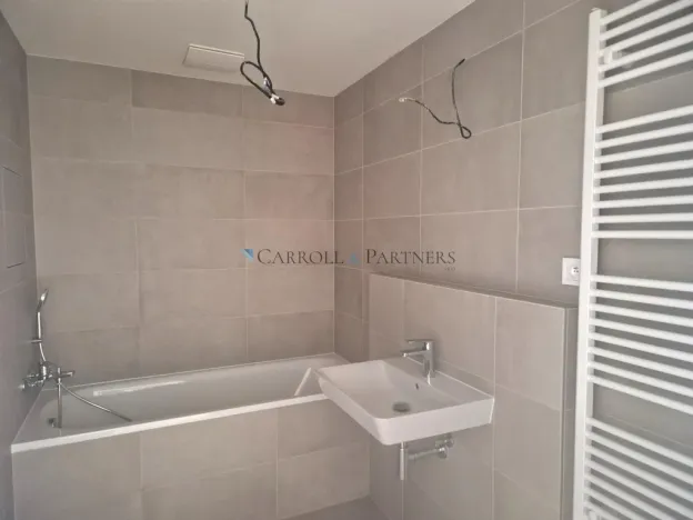 Pronájem bytu 1+kk, Ostrava - Hrabůvka, Provaznická, 30 m2