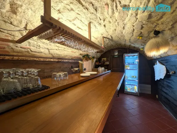 Pronájem restaurace, Plzeň, Zbrojnická, 75 m2