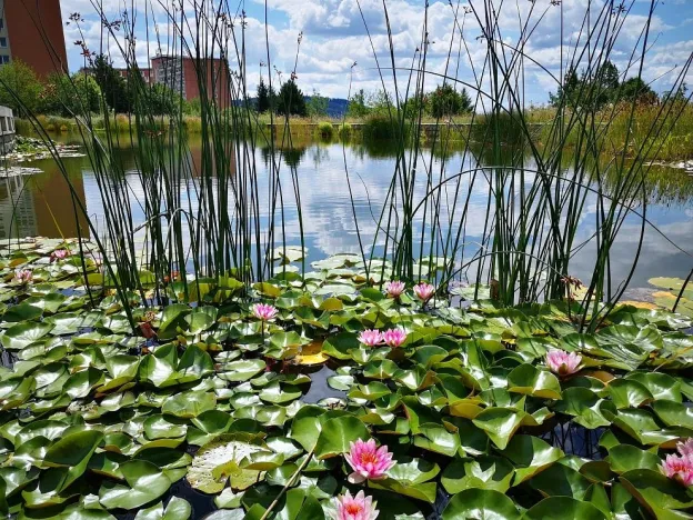 Pronájem bytu 2+kk, Zlín, Podlesí II, 72 m2