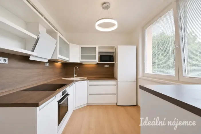 Pronájem bytu 2+1, Židlochovice, sídl. Družba, 52 m2