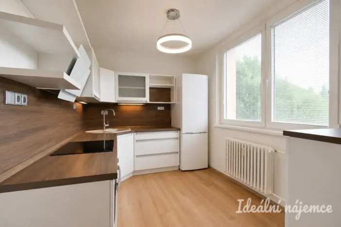 Pronájem bytu 2+1, Židlochovice, sídl. Družba, 52 m2