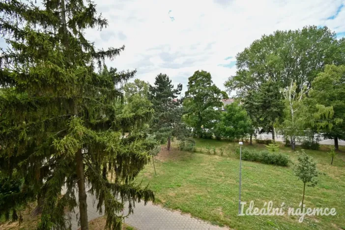 Pronájem bytu 2+1, Židlochovice, sídl. Družba, 52 m2