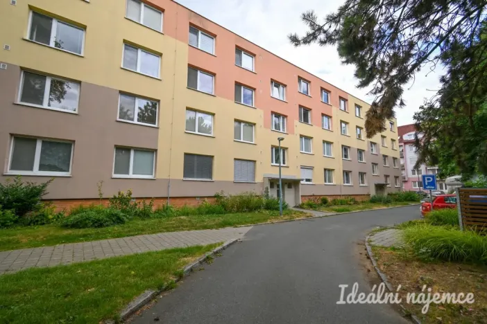 Pronájem bytu 2+1, Židlochovice, sídl. Družba, 52 m2