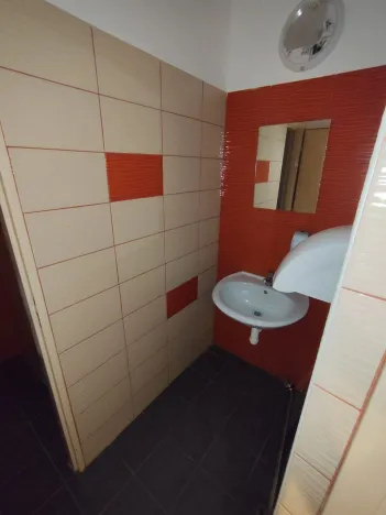 Pronájem obchodního prostoru, Litovel, Vítězná, 248 m2