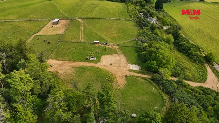 Pronájem komerčního pozemku, Planá, 33448 m2
