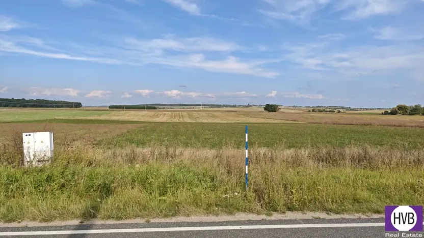 Prodej pozemku pro bydlení, Bělušice, 3767 m2