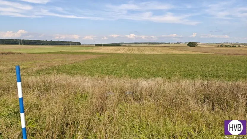 Prodej pozemku pro bydlení, Bělušice, 3767 m2