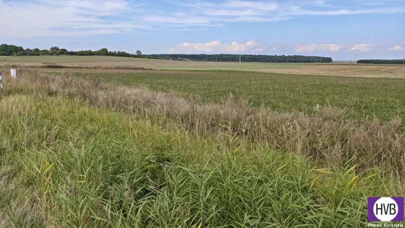 Prodej pozemku pro bydlení, Bělušice, 3767 m2