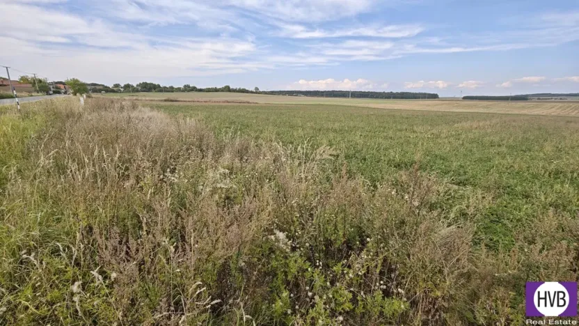 Prodej pozemku pro bydlení, Bělušice, 3767 m2