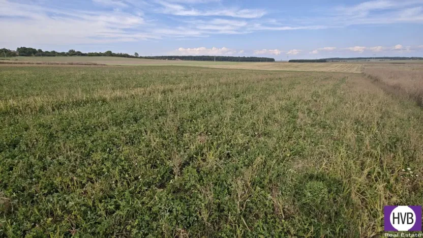 Prodej pozemku pro bydlení, Bělušice, 3767 m2