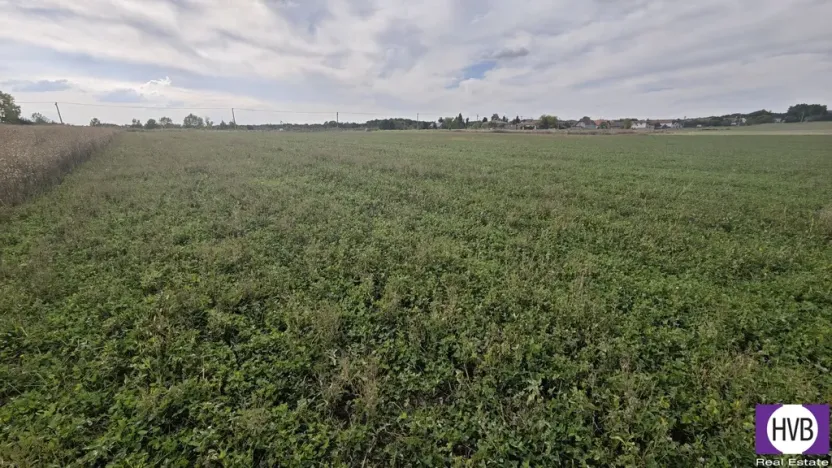 Prodej pozemku pro bydlení, Bělušice, 3767 m2