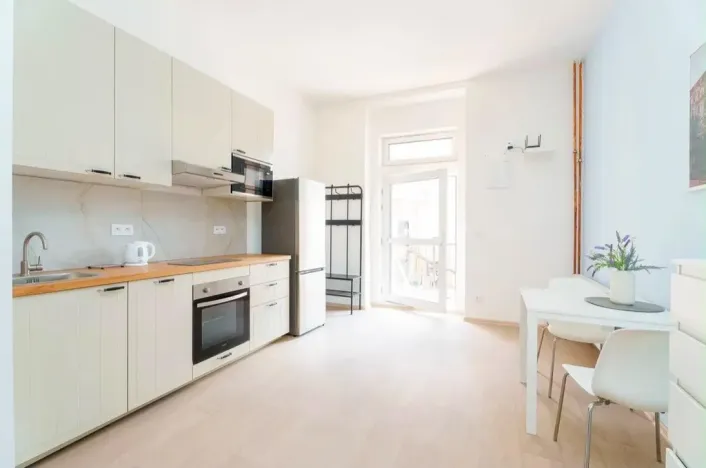 Pronájem bytu 1+kk, Planá, Karlín, 30 m2