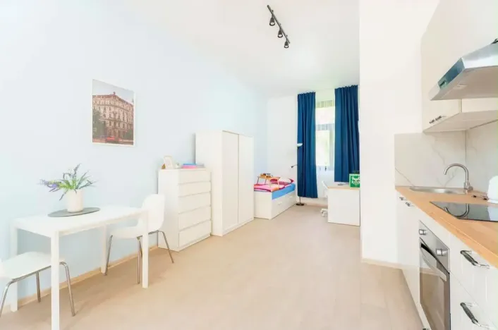 Pronájem bytu 1+kk, Planá, Karlín, 30 m2