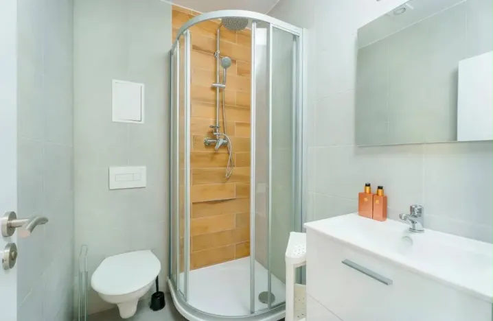 Pronájem bytu 1+kk, Planá, Karlín, 30 m2