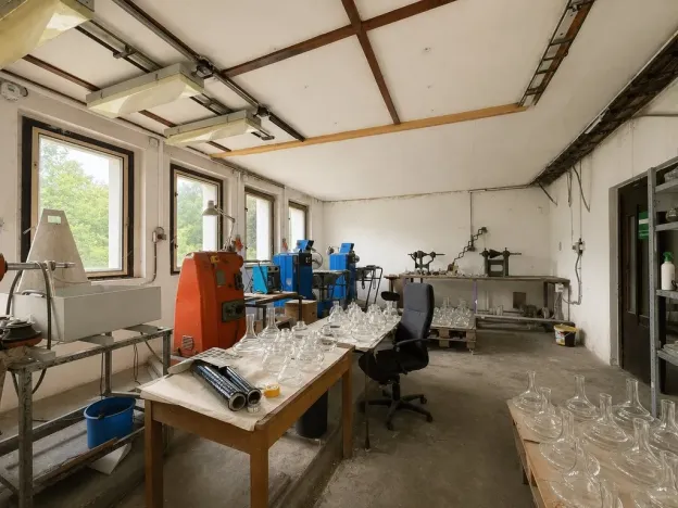 Prodej obchodního prostoru, Skalice u České Lípy, 600 m2