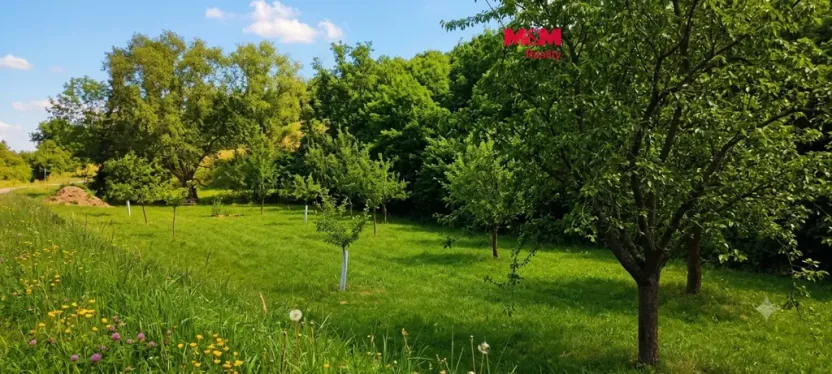 Prodej louky, Kokory, 1126 m2