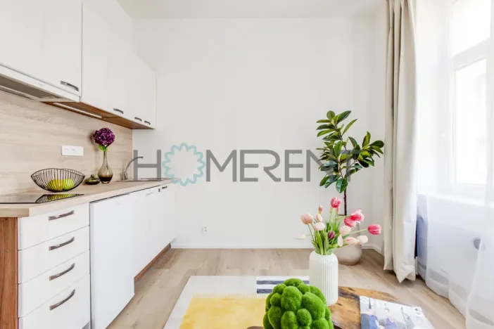 Pronájem bytu 1+kk, Praha - Vysočany, Kolmá, 19 m2