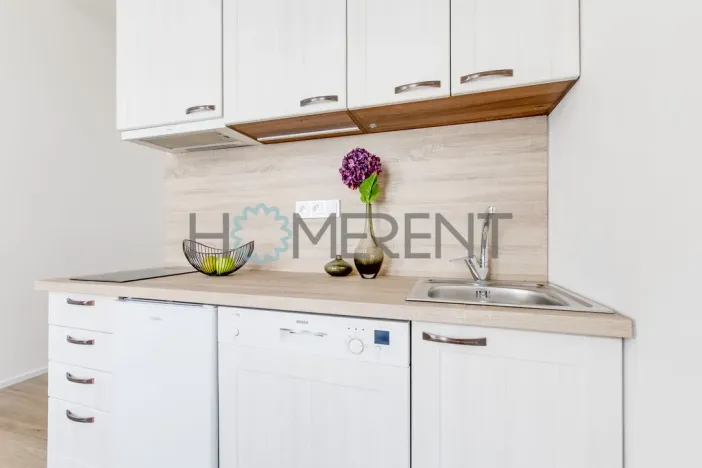Pronájem bytu 1+kk, Praha - Vysočany, Kolmá, 19 m2