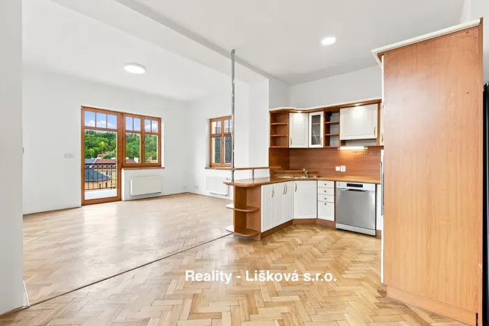 Pronájem bytu 4+kk, Ústí nad Labem - Klíše, Beethovenova, 152 m2