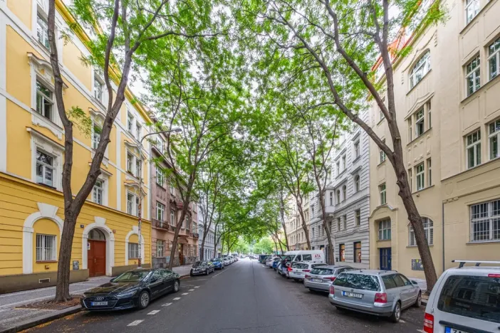 Prodej bytu 3+kk, Praha - Karlín, Šaldova, 73 m2