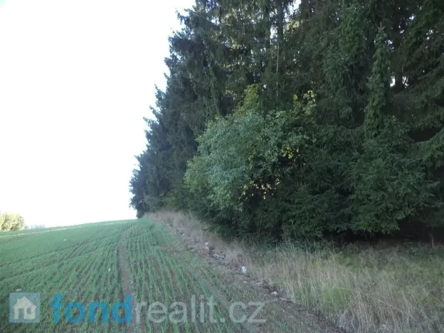 Prodej pole, Kolinec, 2385 m2