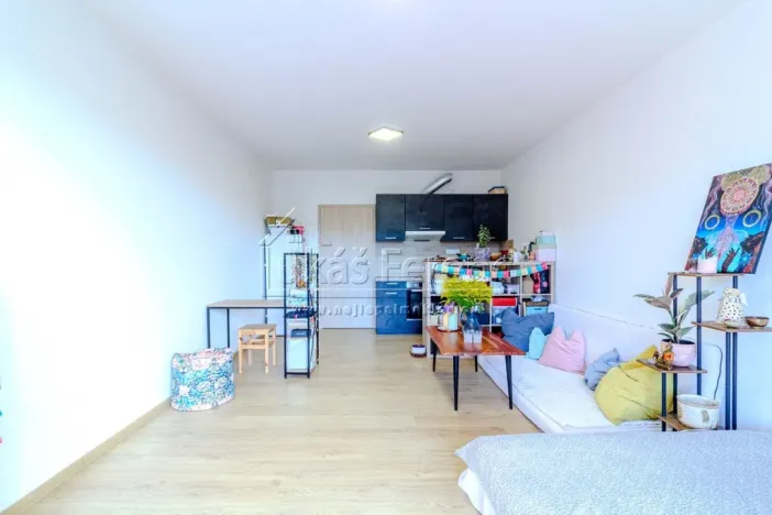 Pronájem bytu 1+kk, Slaný, Lázeňská, 37 m2