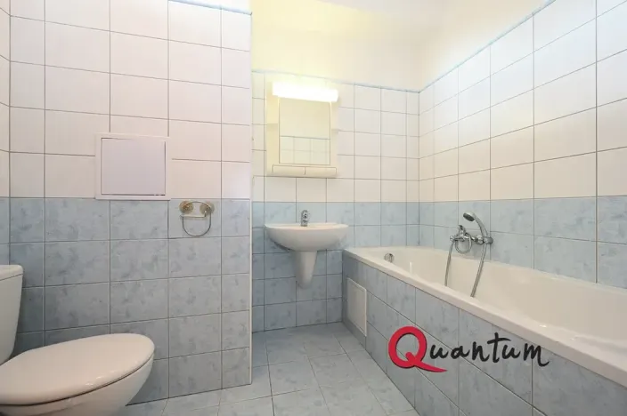 Pronájem bytu 1+kk, Praha - Michle, Jemnická, 30 m2