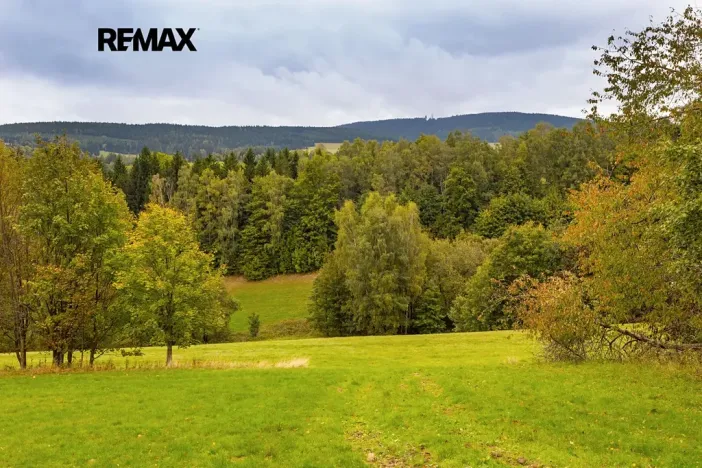 Prodej louky, Orličky, 61702 m2