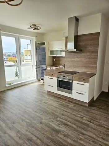 Pronájem bytu 3+kk, Plzeň, Těšínská, 75 m2