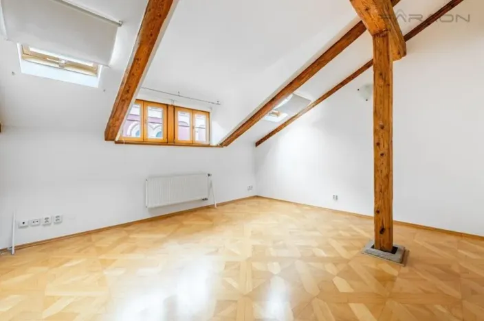 Pronájem bytu 4+kk, Praha - Nové Město, Truhlářská, 221 m2