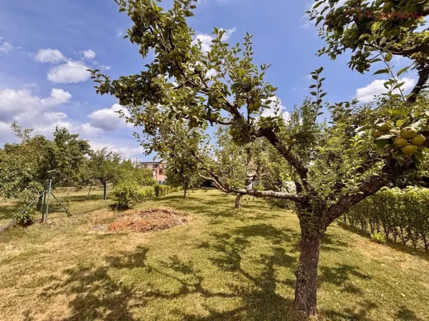 Prodej rodinného domu, Habrovany, 100 m2
