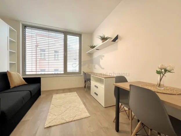 Pronájem bytu 1+kk, Praha - Smíchov, Plzeňská, 20 m2