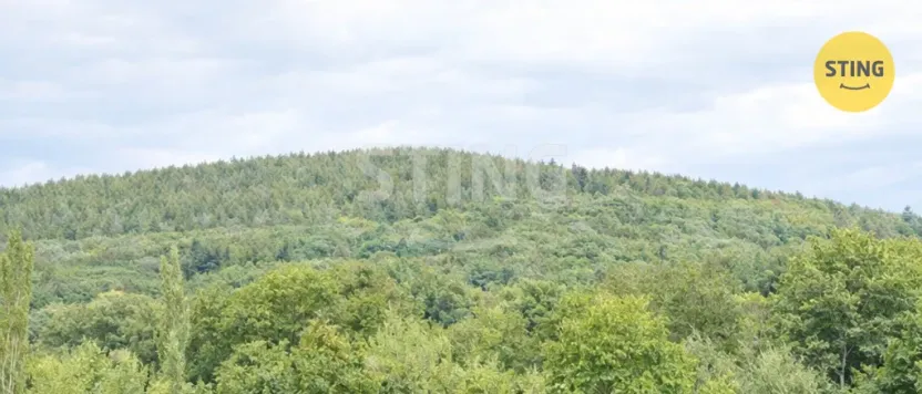 Prodej bytu 3+1, Komárov, 70 m2