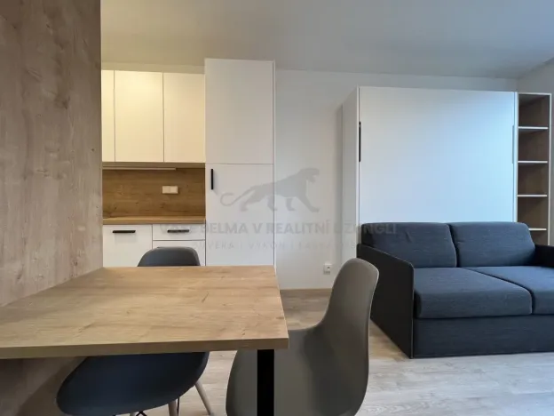 Pronájem bytu 1+kk, Praha - Smíchov, Plzeňská, 22 m2