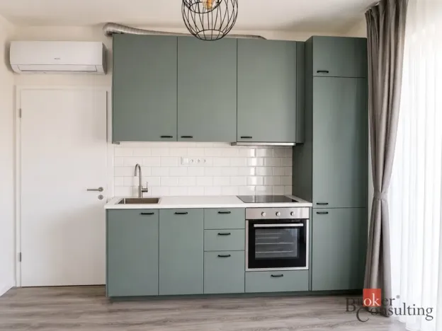 Pronájem bytu 1+kk, Brno - Trnitá, Křenová, 28 m2