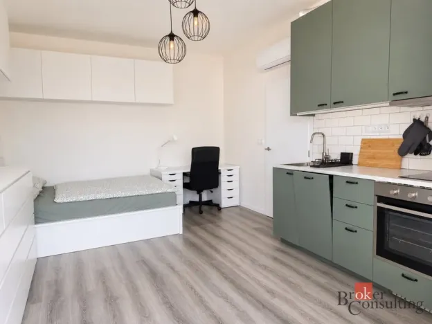 Pronájem bytu 1+kk, Brno - Trnitá, Křenová, 28 m2