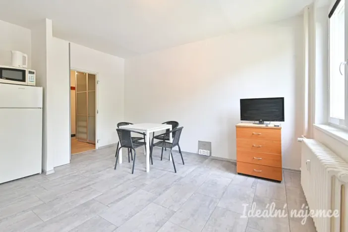 Pronájem bytu 1+kk, Brno, Spodní, 32 m2