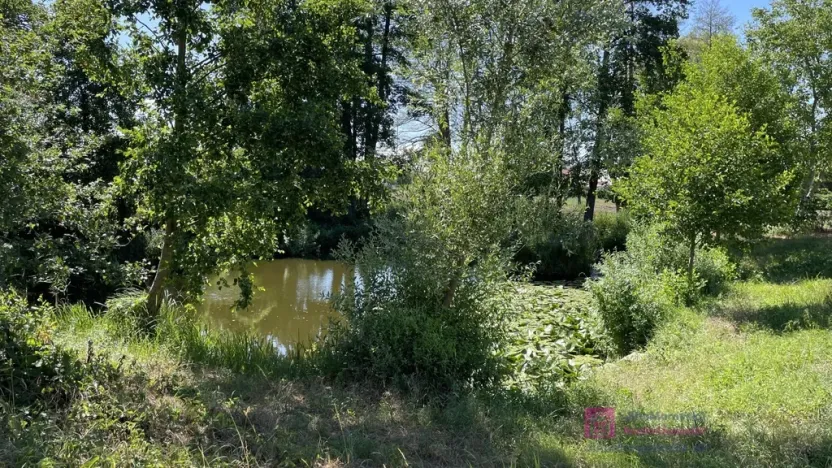 Prodej pozemku pro bydlení, Břeclav - Poštorná, 4463 m2