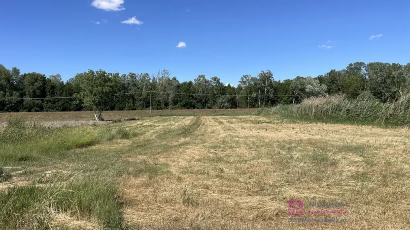 Prodej pozemku pro bydlení, Břeclav - Poštorná, 4463 m2
