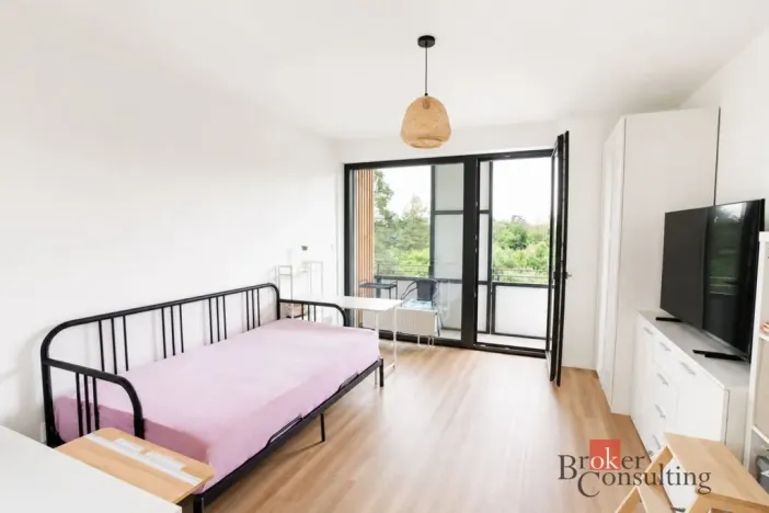 Pronájem bytu 3+kk, Plzeň - Východní Předměstí, Kartónová, 104 m2